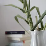 Elisso's Philoxenia 3*