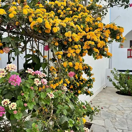 Elisso's Philoxenia 4*