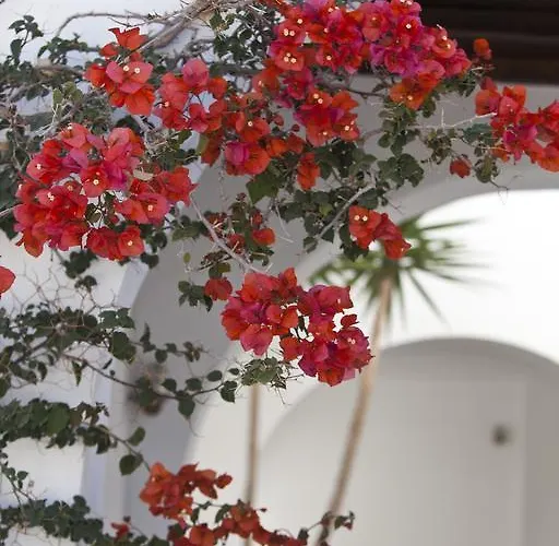 Elisso's Philoxenia Hotel apartamentowy