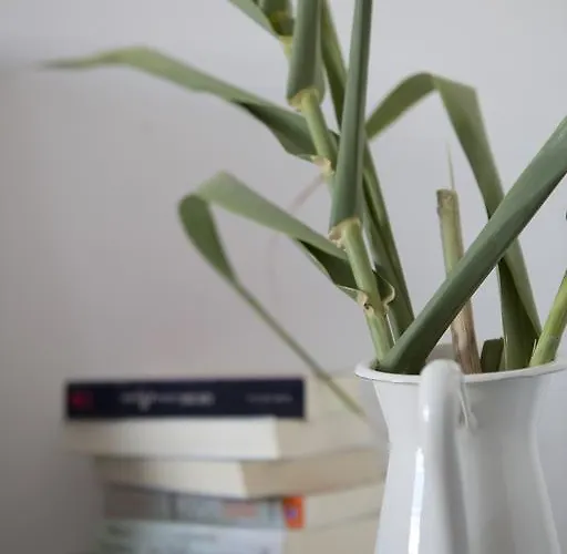 Elisso's Philoxenia 3*