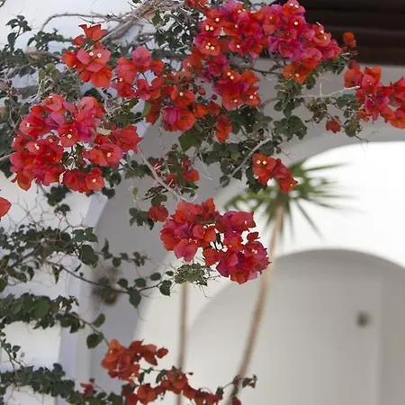 Elisso's Philoxenia Aparthotel