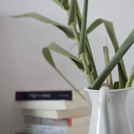 Elisso's Philoxenia 3*