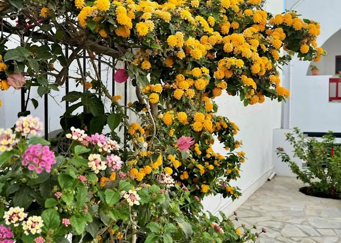 Elisso's Philoxenia 3*