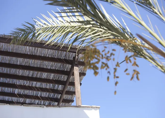 アパートホテル Elisso's Philoxenia アギオス・プロコピオス